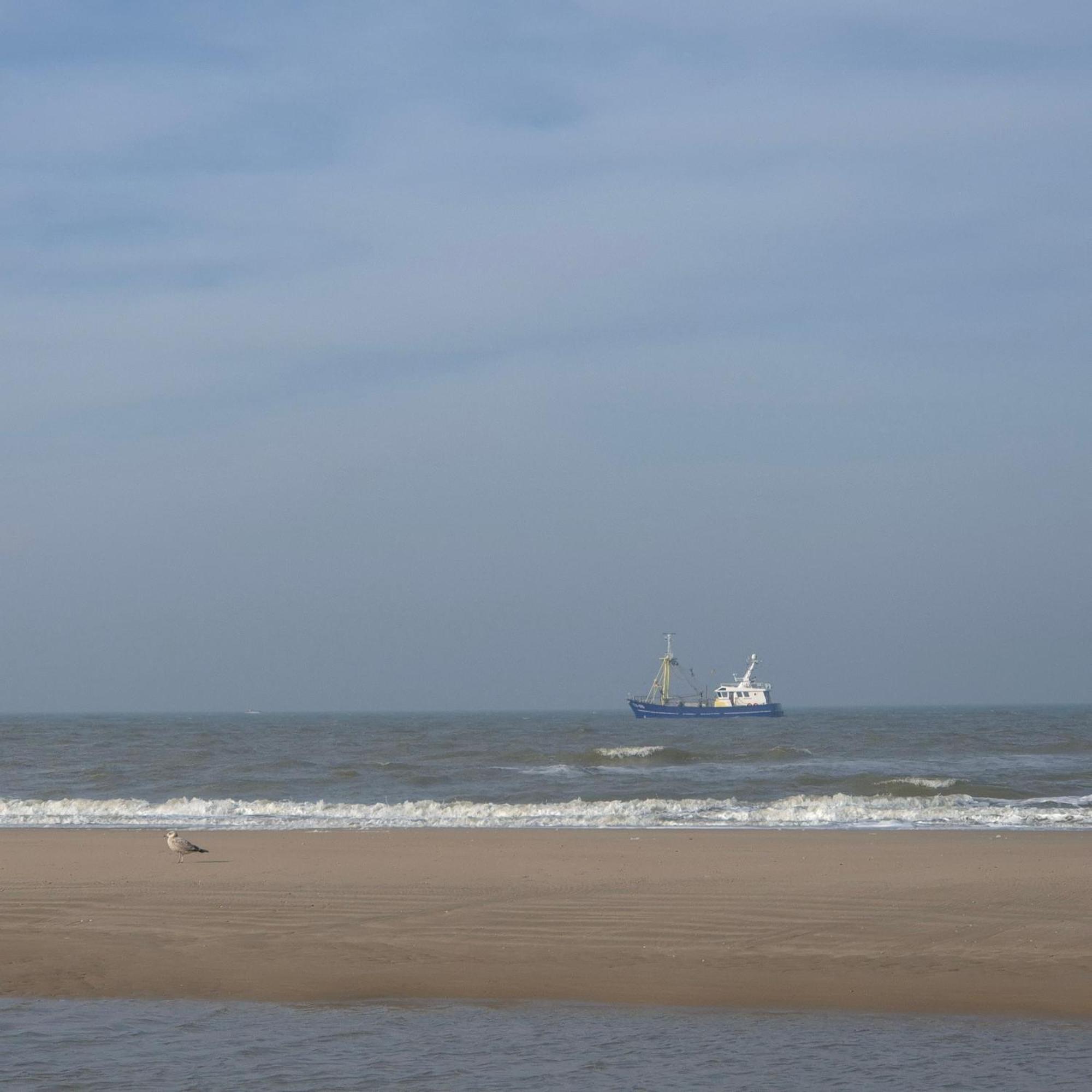 Tiny Villa De Haas Met Infraroodsauna Egmond aan Zee Extérieur photo